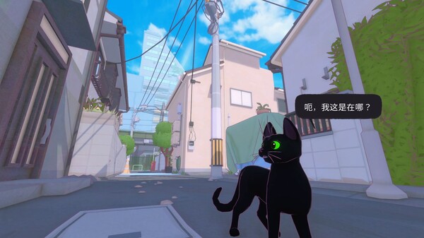 小猫咪大城市 Little Kitty, Big City - ZBLOG 小猫咪大城市 Little Kitty, Big City - ZBLOG
