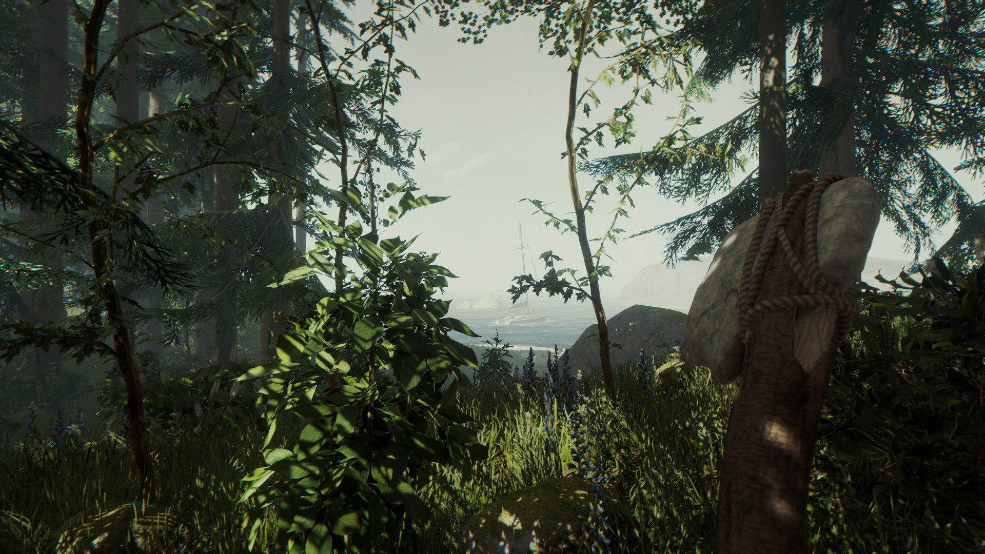 森林.The Forest - ZBLOG 森林.The Forest - ZBLOG