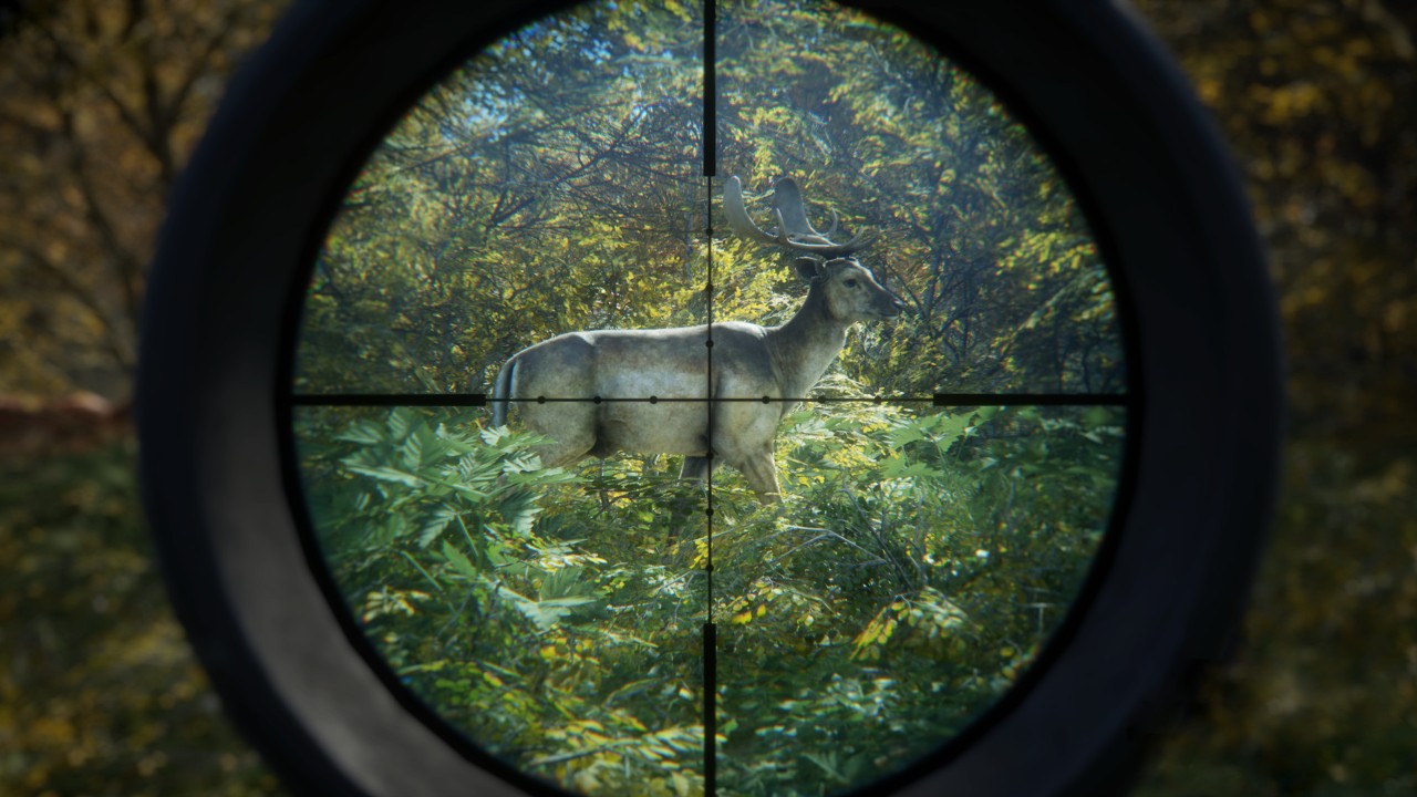 猎人:荒野的召唤 – 完整版.theHunter: Call of the Wild Complete Collection - ZBLOG 猎人:荒野的召唤 – 完整版.theHunter: Call of the Wild Complete Collection - ZBLOG